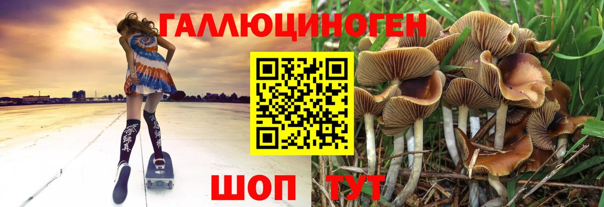 Галлюциногенные грибы MAGIC MUSHROOMS  Вход с VPN  Борзя  дарнет шоп  Псилоцибиновые грибы мицелий 