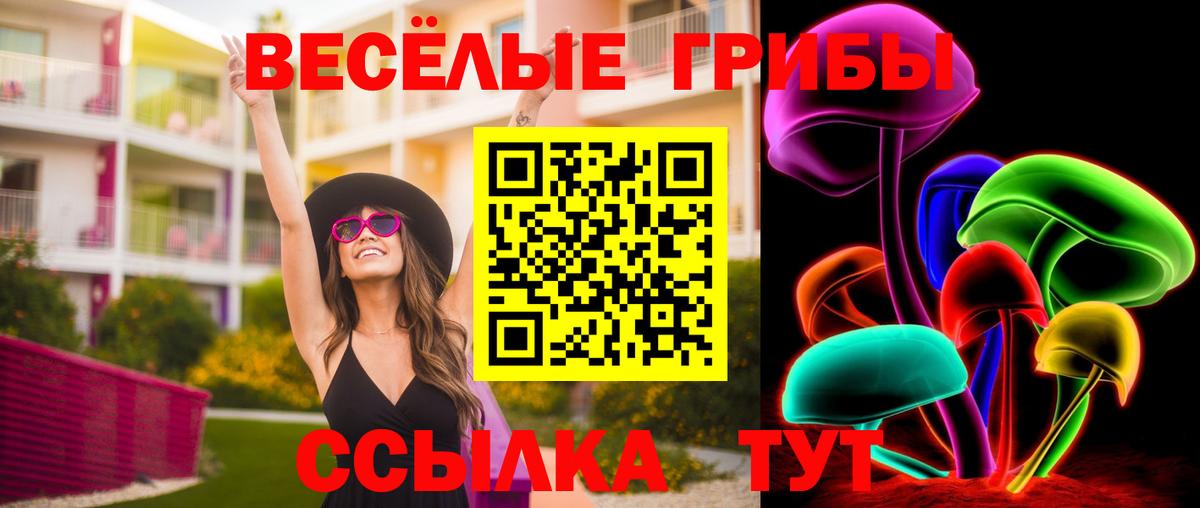 Галлюциногенные грибы мухоморы Борзя